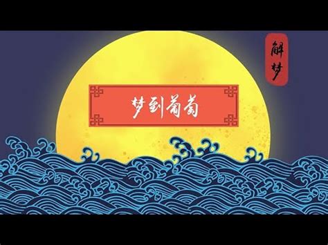 夢見有人送葡萄|夢見有人送葡萄